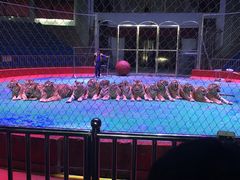 -西安秦岭野生动物园