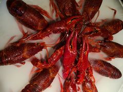 经典冰镇龙虾-红盔甲·小龙虾(天钥桥店)