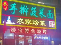 -秦君宝手擀菠菜面(金花路店)