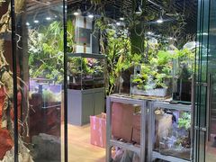 -朝来春花卉市场