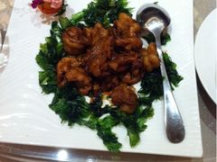 -小白鲨(四季青桥店)