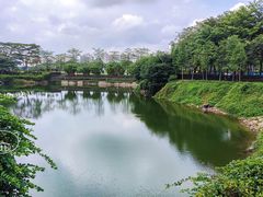 景点-王借岗森林公园