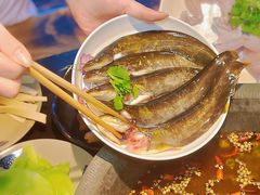 -石锅苗苗鱼(武汉首店)