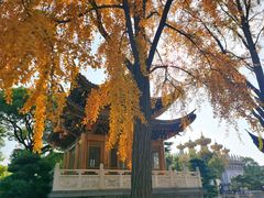 -上海东林寺(金山区)