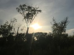 -天津东丽湖风景区