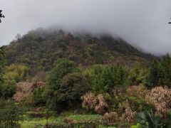-石台牯牛降景区