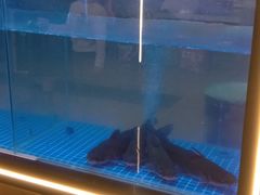 -川椒媚双椒烤鱼(鑫江东方城购物中心店)