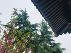 -西安青龙寺遗址景区