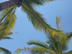 -三亚西岛海洋文化旅游区