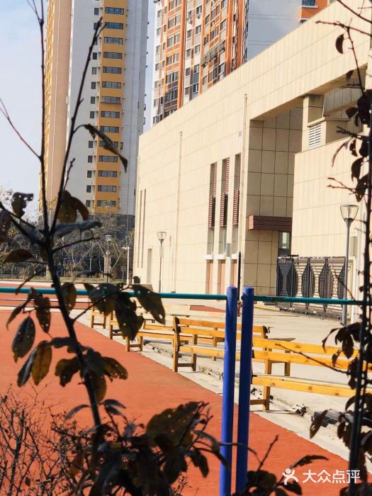 山东省青岛第二中学(江西路分校)图片