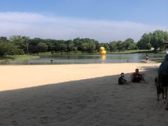 -上海佘山世茂艾美酒店