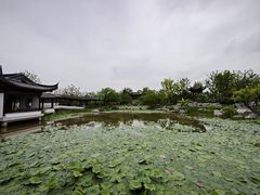 -上海滨江森林公园