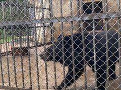 -哈尔滨北方森林动物园