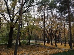 -黑龙江省森林植物园