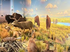 -陕西自然博物馆