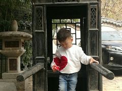 -老张烤羊(王哥庄店)
