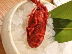 -菊上日式料理(蚌埠银泰店)