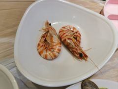 -小海丁