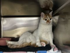 -拜鲁耶动物诊疗中心·宠家动物医院