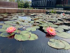 -星巴克(深圳前海企业公馆店)