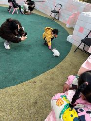 -季高兔窝窝亲子园(上海薰衣草公园店)