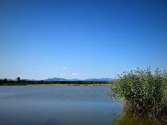 -绿堤公园