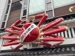 -蟹道乐(道顿堀本店)