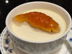 姜汁双皮奶-正斗·港式粤菜(SKLP店)