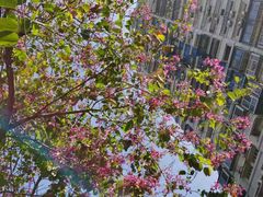 -大鹏佳兆业广场