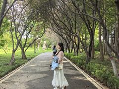 -石家庄市植物园