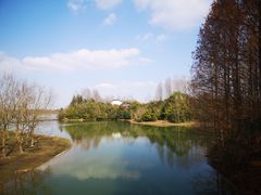 -上海海湾国家森林公园