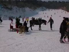 -蓟县盘山滑雪场