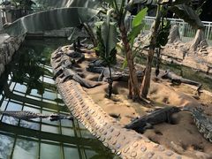 -石家庄市动物园