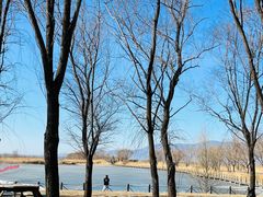 -野鸭湖国家湿地公园