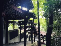 -严子陵钓台(富春江小三峡)