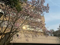 -浙江大学(玉泉校区)