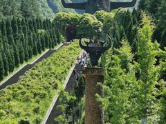 -炎陵县神农谷国家森林公园