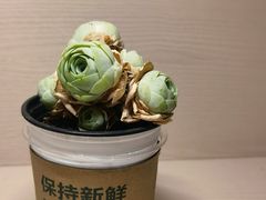 -溪岸路花鸟市场