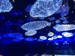 -盒马X会员店(上海森兰商都店)