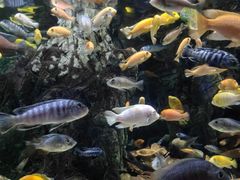 -太平洋海底世界