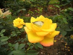 -人民公园(罗湖区)