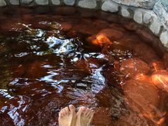 -中家鑫园温泉酒店鑫悦汤泉