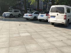 -南山植物园