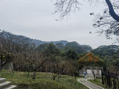 -广州市白云山风景名胜区