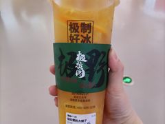 -极拉图·现制冰淇淋(大卫城店)