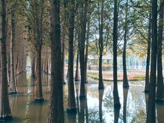 -捞渔河湿地公园