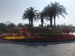 -宝安西湾红树林湿地公园