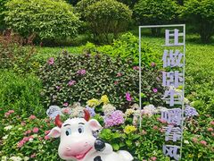 -云溪植物园