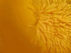 -厉家菜(金宝街店)