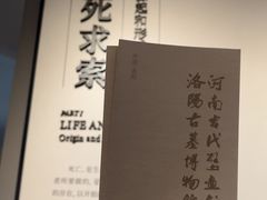-洛阳古墓博物馆